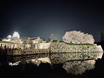 姫路城（イベント）に投稿された画像（2022/4/6）