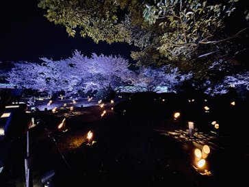 姫路城（イベント）に投稿された画像（2022/4/6）