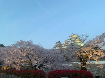 姫路城（イベント）に投稿された画像（2022/4/6）