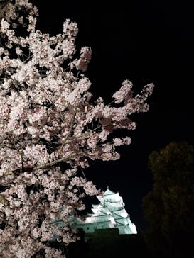 姫路城（イベント）に投稿された画像（2022/4/6）