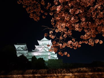 姫路城（イベント）に投稿された画像（2022/4/6）