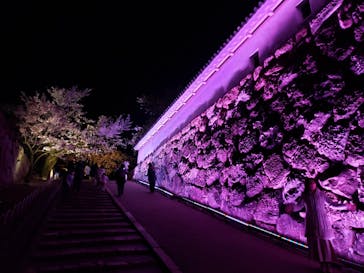 姫路城（イベント）に投稿された画像（2022/4/6）