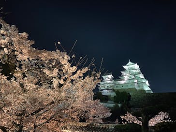 姫路城（イベント）に投稿された画像（2022/4/6）