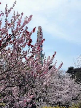 ひらかたパークに投稿された画像（2022/4/6）