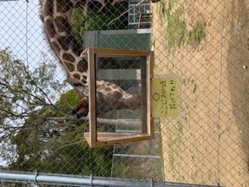 しろとり動物園に投稿された画像（2022/4/6）