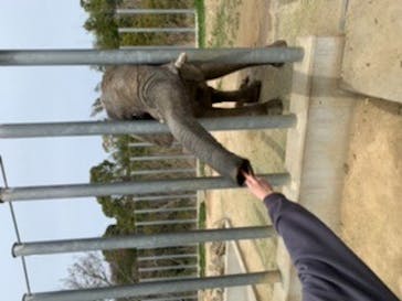 しろとり動物園に投稿された画像（2022/4/6）