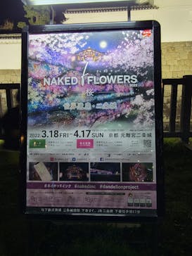 NAKED FLOWERS 2022 -桜- 世界遺産・二条城に投稿された画像（2022/4/6）