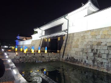 NAKED FLOWERS 2022 -桜- 世界遺産・二条城に投稿された画像（2022/4/6）