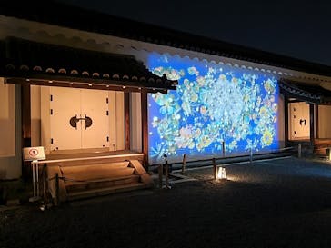 NAKED FLOWERS 2022 -桜- 世界遺産・二条城に投稿された画像（2022/4/6）