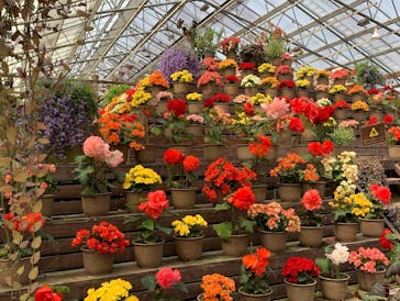 富士花鳥園に投稿された画像（2022/4/6）