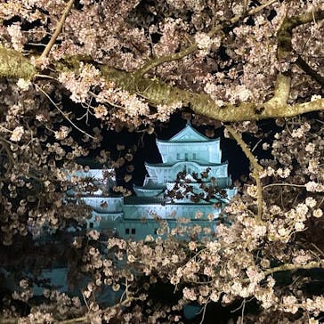 姫路城（イベント）に投稿された画像（2022/4/6）