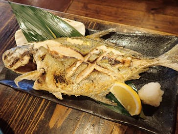 釣り船 りき丸に投稿された画像（2022/4/6）
