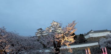 姫路城（イベント）に投稿された画像（2022/4/6）