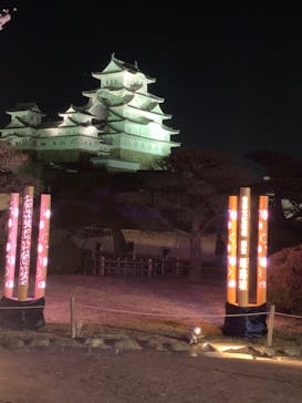 姫路城（イベント）に投稿された画像（2022/4/6）