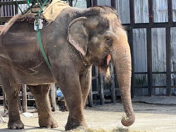 那須サファリパークに投稿された画像（2022/4/6）