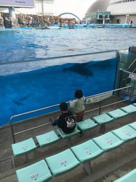 名古屋港水族館に投稿された画像（2022/4/6）