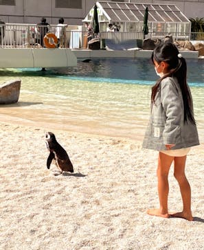 大分マリーンパレス水族館 「うみたまご」に投稿された画像（2022/4/6）