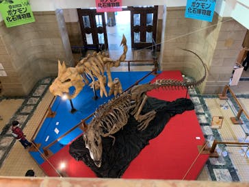 国立科学博物館　特別企画展「ポケモン化石博物館」に投稿された画像（2022/4/6）
