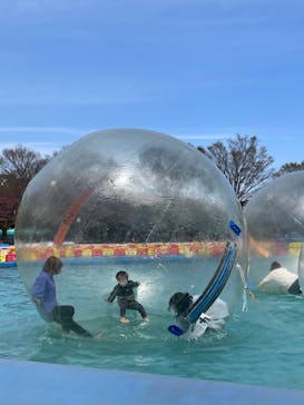 伊豆ぐらんぱる公園に投稿された画像（2022/4/6）