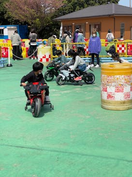 伊豆ぐらんぱる公園に投稿された画像（2022/4/6）