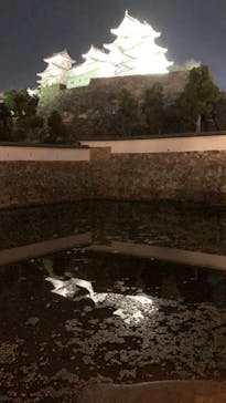 姫路城（イベント）に投稿された画像（2022/4/6）