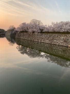 姫路城（イベント）に投稿された画像（2022/4/6）