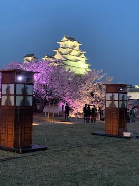姫路城（イベント）に投稿された画像（2022/4/6）