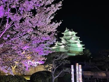 姫路城（イベント）に投稿された画像（2022/4/6）
