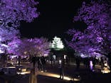 姫路城（イベント）に投稿された画像（2022/4/7）