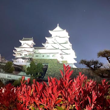 姫路城（イベント）に投稿された画像（2022/4/6）