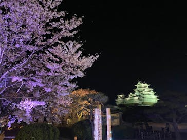 姫路城（イベント）に投稿された画像（2022/4/6）