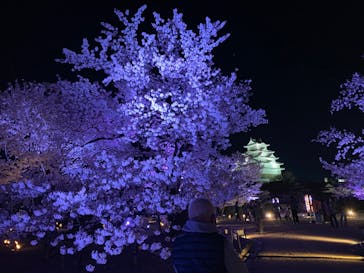 姫路城（イベント）に投稿された画像（2022/4/6）