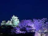 姫路城（イベント）に投稿された画像（2022/4/7）