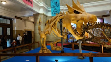 国立科学博物館　特別企画展「ポケモン化石博物館」に投稿された画像（2022/4/6）