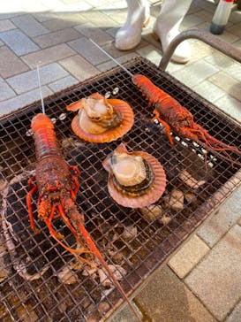 志摩市浜島磯体験施設 海ほおずきに投稿された画像（2022/4/6）