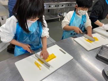 志摩市浜島磯体験施設 海ほおずきに投稿された画像（2022/4/6）