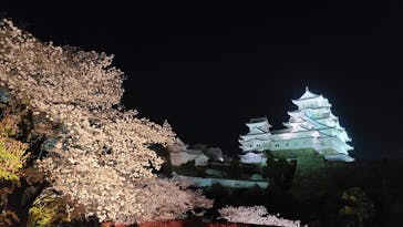 姫路城（イベント）に投稿された画像（2022/4/7）