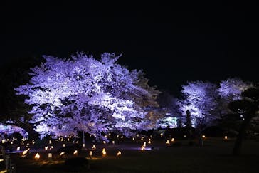 姫路城（イベント）に投稿された画像（2022/4/7）