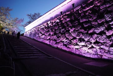 姫路城（イベント）に投稿された画像（2022/4/7）