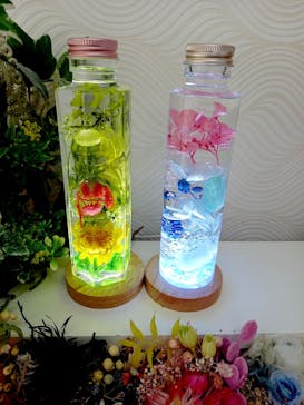 ずこうしつ〜sugamo〜に投稿された画像（2022/4/7）