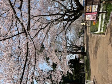 成田ゆめ牧場に投稿された画像（2022/4/7）