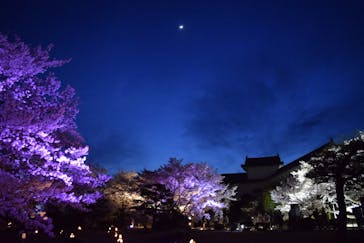 姫路城（イベント）に投稿された画像（2022/4/7）