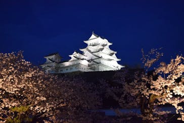 姫路城（イベント）に投稿された画像（2022/4/7）