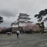 小田原城に投稿された画像（2022/4/7）