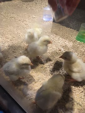 Moff animal world MARK IS みなとみらい店に投稿された画像（2022/4/7）