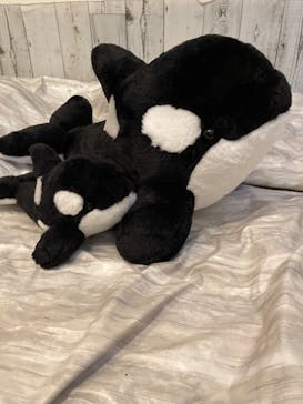 名古屋港水族館に投稿された画像（2022/4/7）