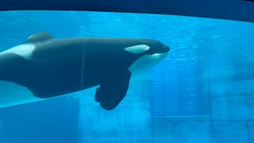 名古屋港水族館に投稿された画像（2022/4/7）