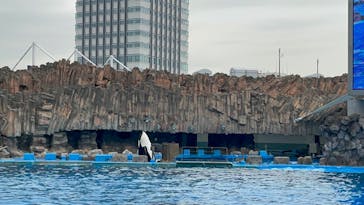 名古屋港水族館に投稿された画像（2022/4/7）