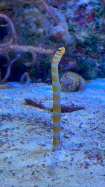 名古屋港水族館に投稿された画像（2022/4/7）