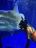 サンシャイン水族館に投稿された画像（2022/4/7）